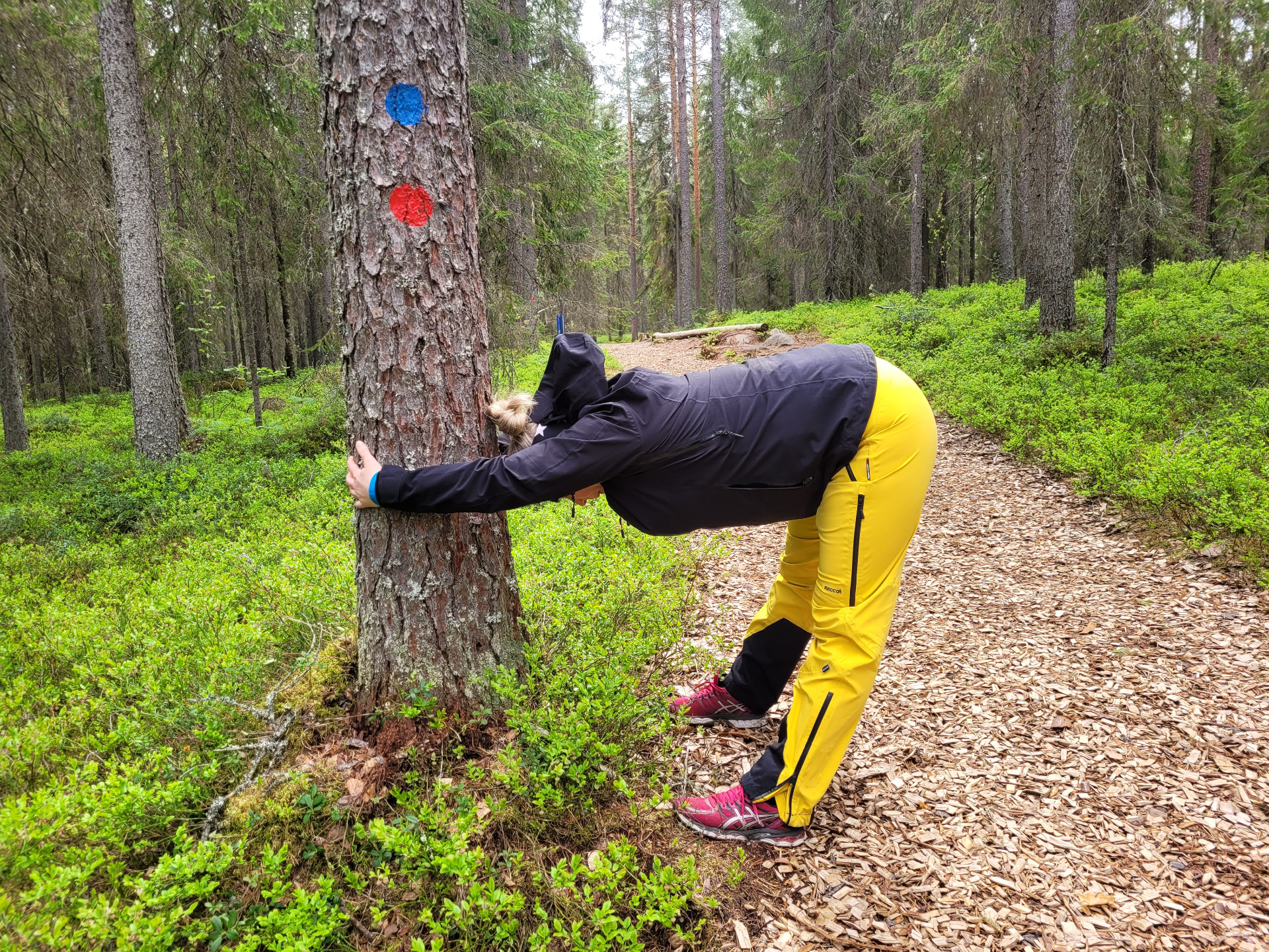 Selän hoito hermoratahieronnalla